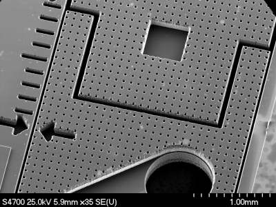 [SEM  micrograph]